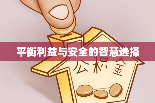 托里平衡利益与安全的智慧选择