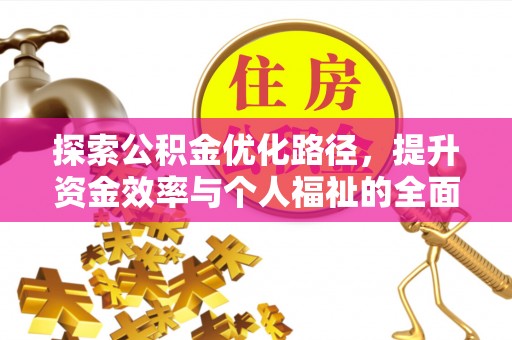 托里探索公积金优化路径，提升资金效率与个人福祉的全面解析