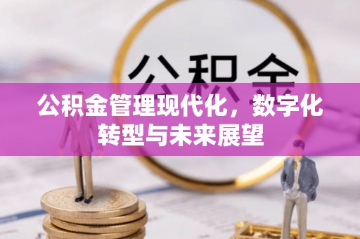 托里公积金管理现代化，数字化转型与未来展望