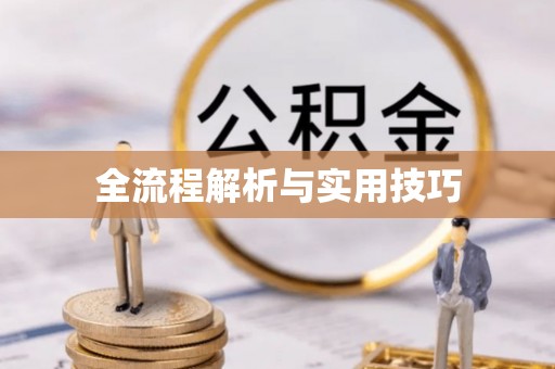 托里全流程解析与实用技巧