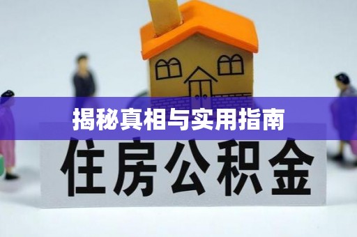 托里揭秘真相与实用指南