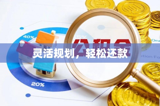 托里灵活规划，轻松还款