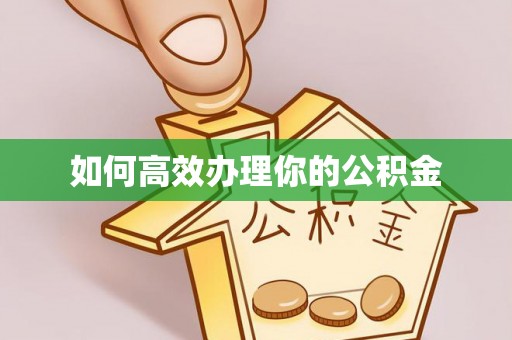 托里如何高效办理你的公积金