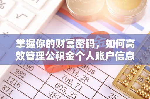 托里掌握你的财富密码，如何高效管理公积金个人账户信息