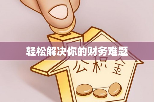 托里轻松解决你的财务难题