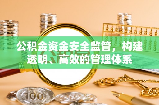 托里公积金资金安全监管，构建透明、高效的管理体系