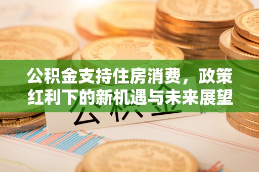 托里公积金支持住房消费，政策红利下的新机遇与未来展望