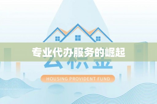 托里专业代办服务的崛起