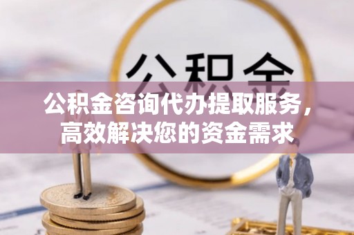 托里公积金咨询代办提取服务，高效解决您的资金需求