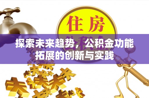 托里探索未来趋势，公积金功能拓展的创新与实践