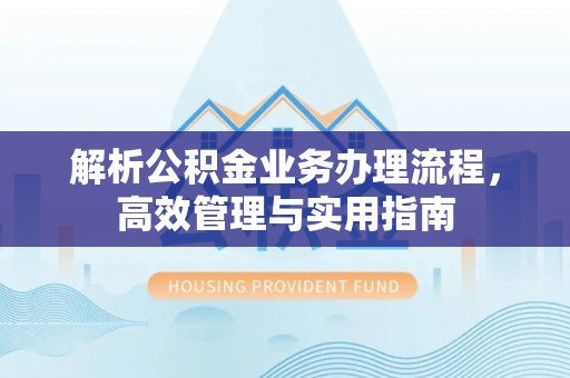 托里解析公积金业务办理流程，高效管理与实用指南