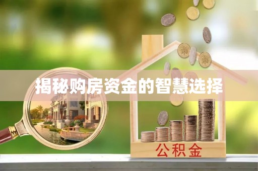 托里揭秘购房资金的智慧选择