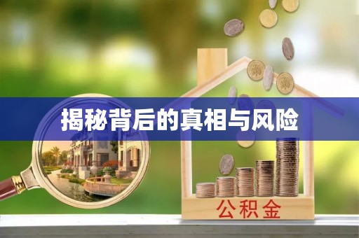托里揭秘背后的真相与风险