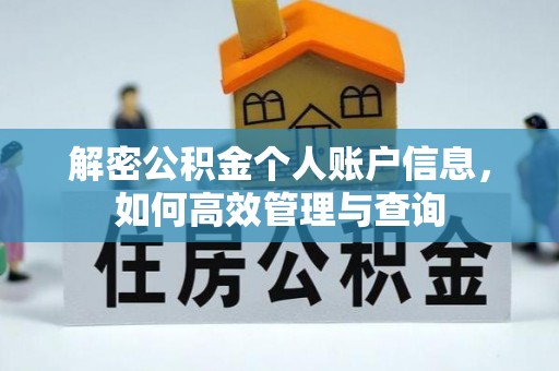 托里解密公积金个人账户信息，如何高效管理与查询