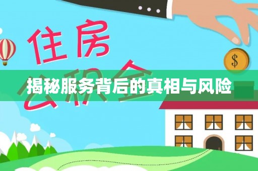托里揭秘服务背后的真相与风险