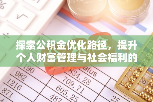 托里探索公积金优化路径，提升个人财富管理与社会福利的双赢之道