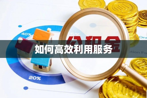 托里如何高效利用服务