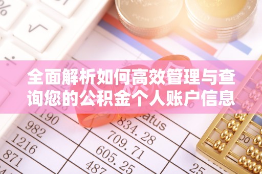 托里全面解析如何高效管理与查询您的公积金个人账户信息