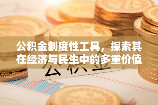 托里公积金制度性工具，探索其在经济与民生中的多重价值