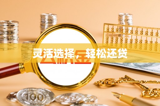 托里灵活选择，轻松还贷