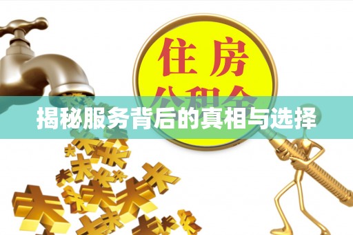 托里揭秘服务背后的真相与选择