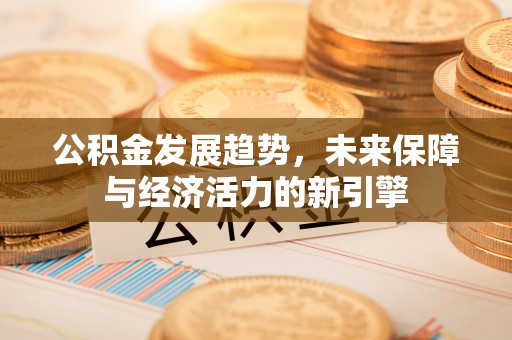 托里公积金发展趋势，未来保障与经济活力的新引擎