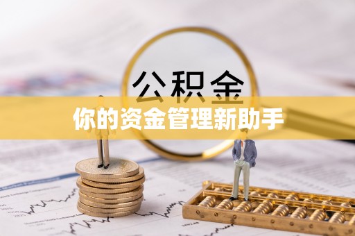 托里你的资金管理新助手