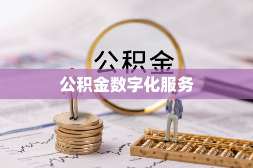 托里公积金数字化服务