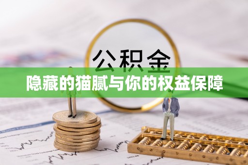 托里隐藏的猫腻与你的权益保障