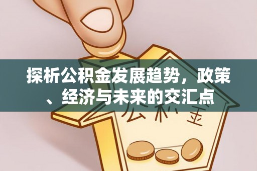 托里探析公积金发展趋势，政策、经济与未来的交汇点