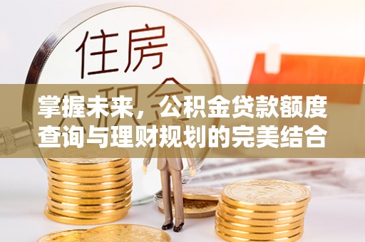 托里掌握未来，公积金贷款额度查询与理财规划的完美结合