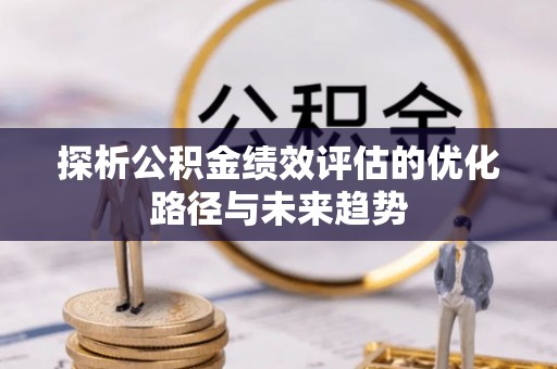 托里探析公积金绩效评估的优化路径与未来趋势