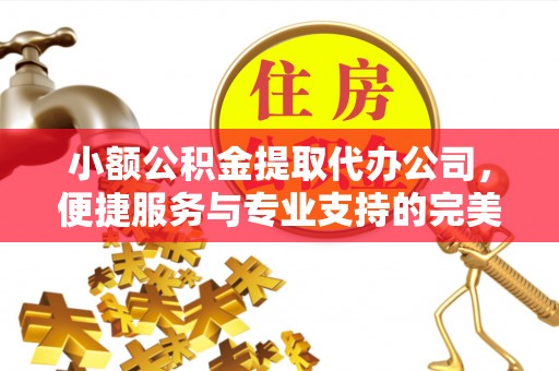 托里小额公积金提取代办公司，便捷服务与专业支持的完美结合