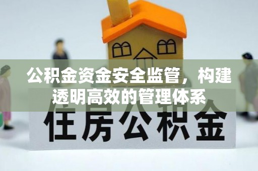 托里公积金资金安全监管，构建透明高效的管理体系