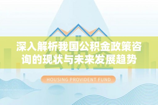 托里深入解析我国公积金政策咨询的现状与未来发展趋势