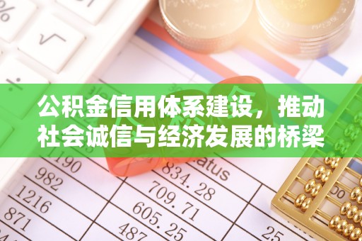 托里公积金信用体系建设，推动社会诚信与经济发展的桥梁