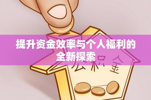托里提升资金效率与个人福利的全新探索
