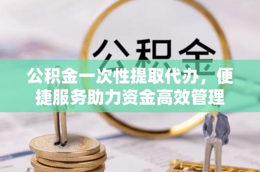 托里公积金一次性提取代办，便捷服务助力资金高效管理