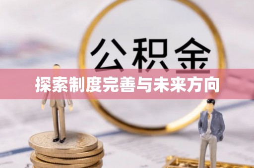 托里探索制度完善与未来方向