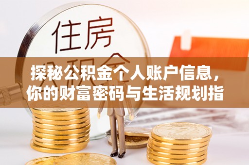 托里探秘公积金个人账户信息，你的财富密码与生活规划指南