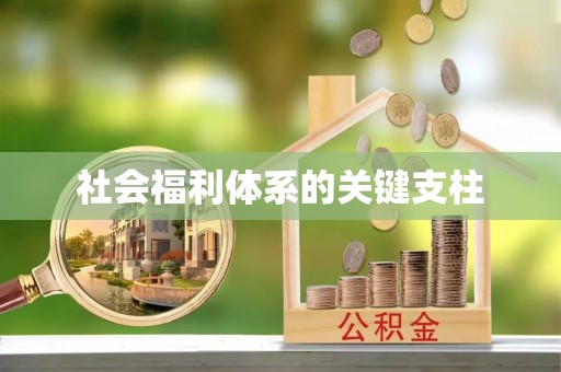 托里社会福利体系的关键支柱