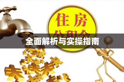 托里全面解析与实操指南