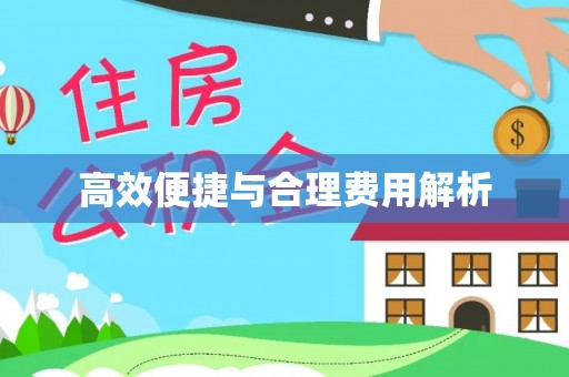 托里高效便捷与合理费用解析