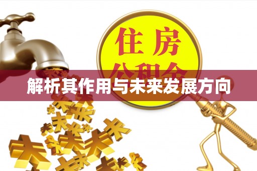 托里解析其作用与未来发展方向