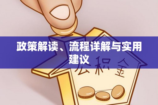 托里政策解读、流程详解与实用建议