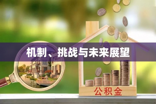 托里机制、挑战与未来展望