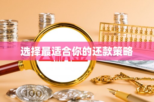 托里选择最适合你的还款策略