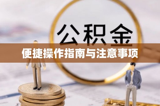 托里便捷操作指南与注意事项