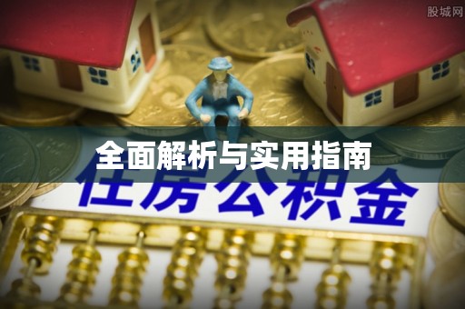 托里全面解析与实用指南